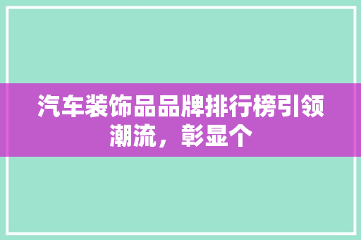 汽车装饰品品牌排行榜引领潮流，彰显个