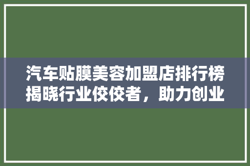 汽车贴膜美容加盟店排行榜揭晓行业佼佼者，助力创业新篇章