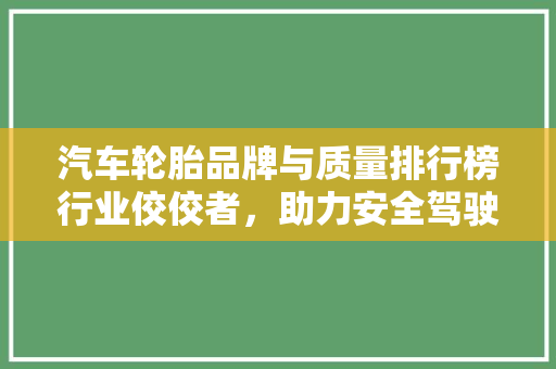 汽车轮胎品牌与质量排行榜行业佼佼者，助力安全驾驶