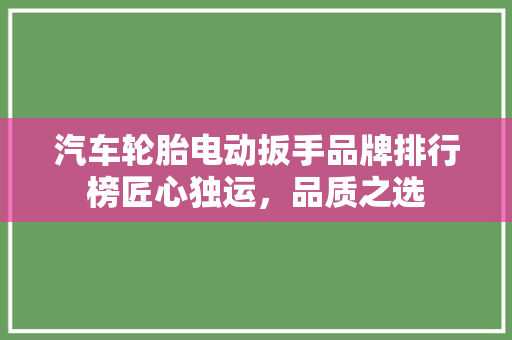 汽车轮胎电动扳手品牌排行榜匠心独运，品质之选