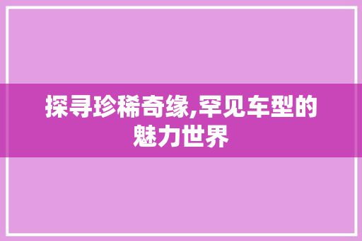 探寻珍稀奇缘,罕见车型的魅力世界