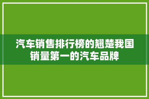 汽车销售排行榜的翘楚我国销量第一的汽车品牌