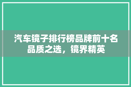 汽车镜子排行榜品牌前十名品质之选，镜界精英