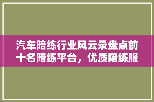 汽车陪练行业风云录盘点前十名陪练平台，优质陪练服务背后的秘密