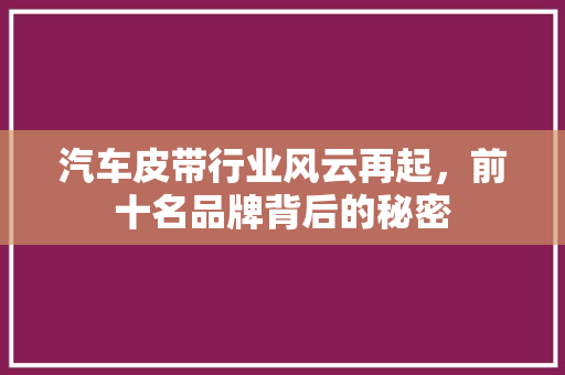汽车皮带行业风云再起，前十名品牌背后的秘密
