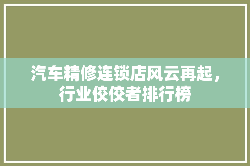 汽车精修连锁店风云再起，行业佼佼者排行榜