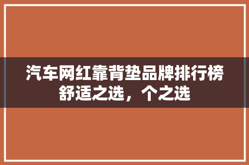 汽车网红靠背垫品牌排行榜舒适之选，个之选