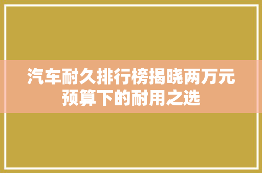 汽车耐久排行榜揭晓两万元预算下的耐用之选