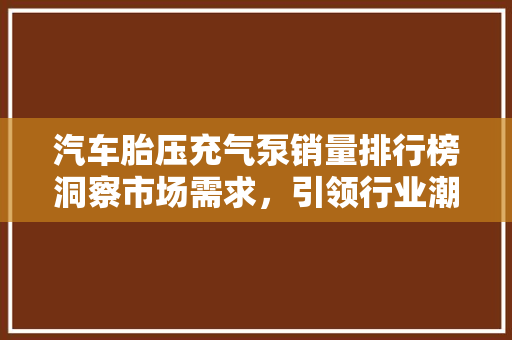 汽车胎压充气泵销量排行榜洞察市场需求，引领行业潮流