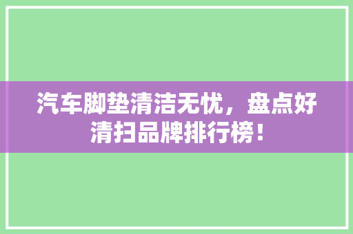 汽车脚垫清洁无忧，盘点好清扫品牌排行榜！