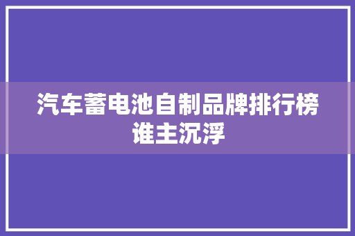 汽车蓄电池自制品牌排行榜谁主沉浮