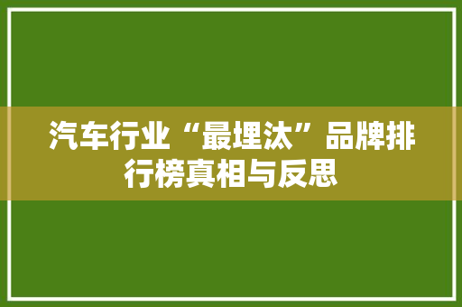 汽车行业“最埋汰”品牌排行榜真相与反思