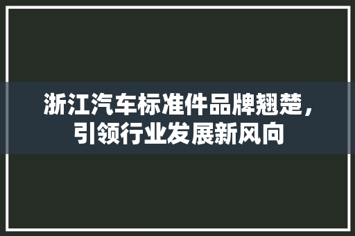 浙江汽车标准件品牌翘楚，引领行业发展新风向