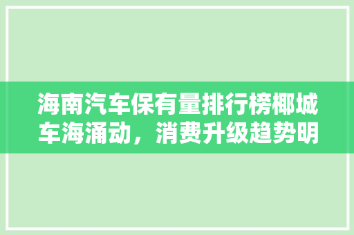 海南汽车保有量排行榜椰城车海涌动，消费升级趋势明显