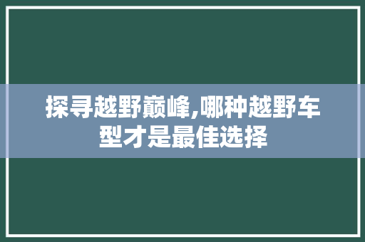 探寻越野巅峰,哪种越野车型才是最佳选择