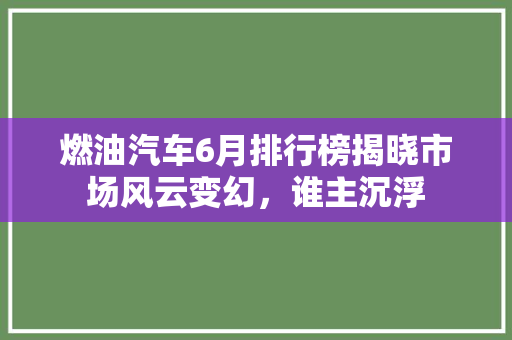 燃油汽车6月排行榜揭晓市场风云变幻，谁主沉浮