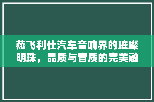 燕飞利仕汽车音响界的璀璨明珠，品质与音质的完美融合