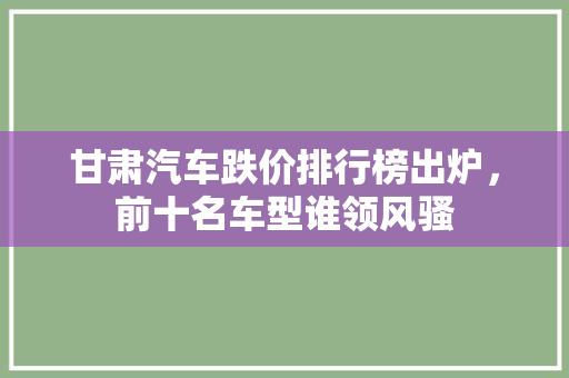 甘肃汽车跌价排行榜出炉，前十名车型谁领风骚
