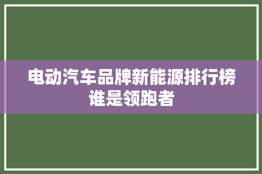 电动汽车品牌新能源排行榜谁是领跑者