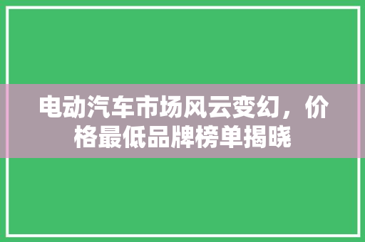 电动汽车市场风云变幻，价格最低品牌榜单揭晓