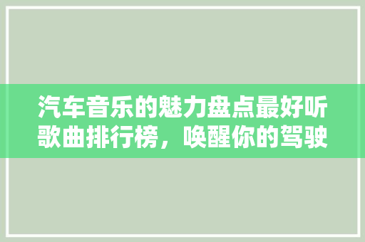 汽车音乐的魅力盘点最好听歌曲排行榜，唤醒你的驾驶激情