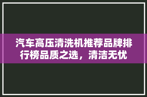 汽车高压清洗机推荐品牌排行榜品质之选，清洁无忧
