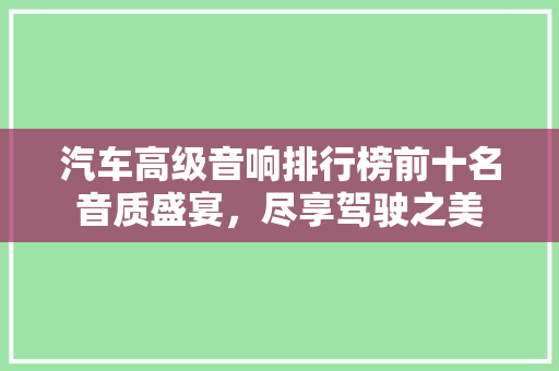 汽车高级音响排行榜前十名音质盛宴，尽享驾驶之美