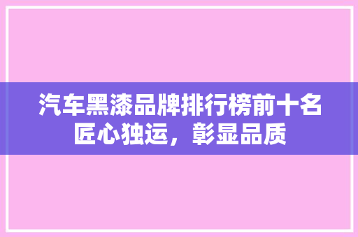 汽车黑漆品牌排行榜前十名匠心独运，彰显品质