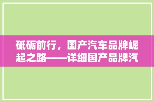 砥砺前行，国产汽车品牌崛起之路——详细国产品牌汽车排行榜阶梯