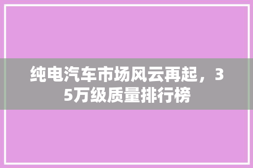 纯电汽车市场风云再起，35万级质量排行榜