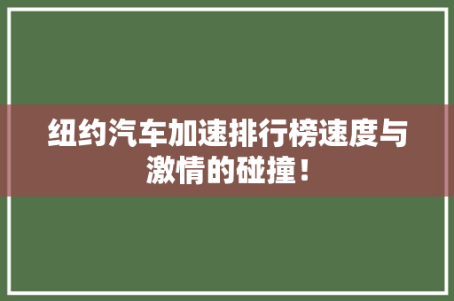 纽约汽车加速排行榜速度与激情的碰撞！