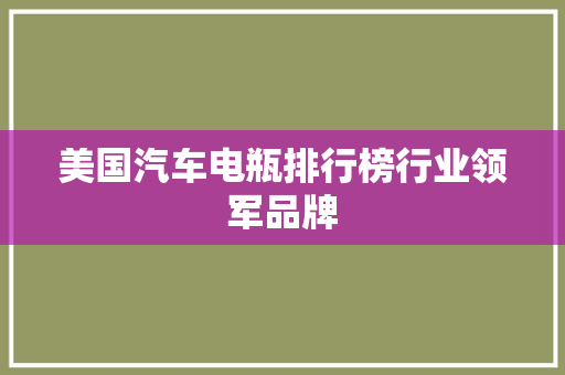 美国汽车电瓶排行榜行业领军品牌