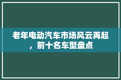 老年电动汽车市场风云再起，前十名车型盘点