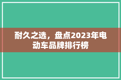 耐久之选，盘点2023年电动车品牌排行榜