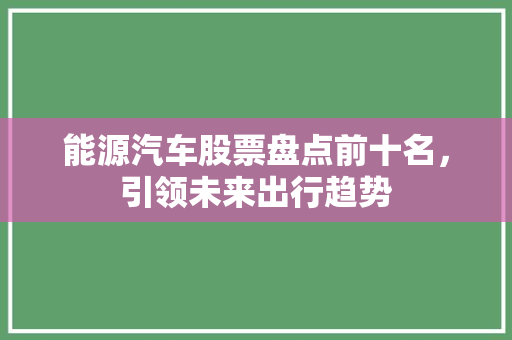 能源汽车股票盘点前十名，引领未来出行趋势