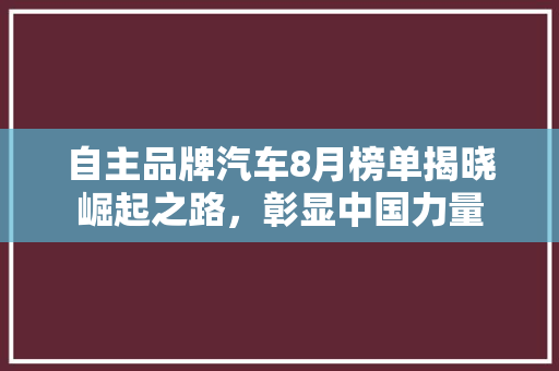 自主品牌汽车8月榜单揭晓崛起之路，彰显中国力量