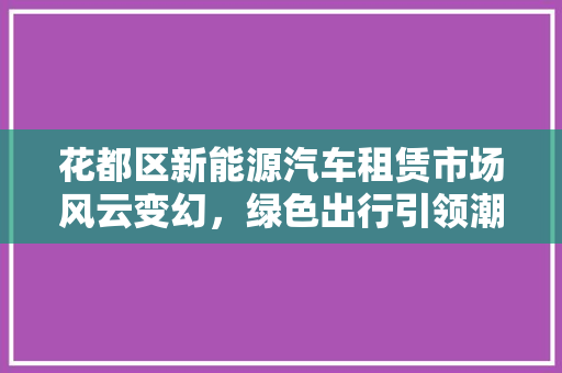 花都区新能源汽车租赁市场风云变幻，绿色出行引领潮流