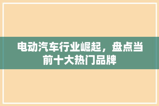 电动汽车行业崛起，盘点当前十大热门品牌