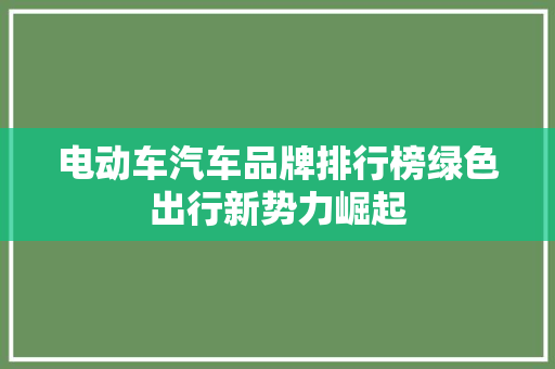电动车汽车品牌排行榜绿色出行新势力崛起
