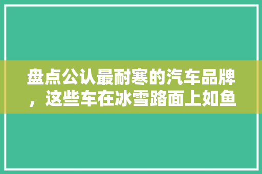 盘点公认最耐寒的汽车品牌，这些车在冰雪路面上如鱼得水！