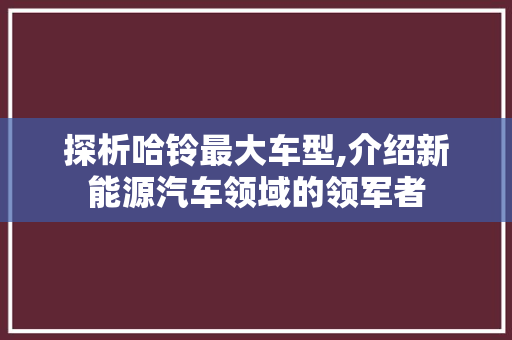 探析哈铃最大车型,介绍新能源汽车领域的领军者