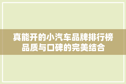 真能开的小汽车品牌排行榜品质与口碑的完美结合