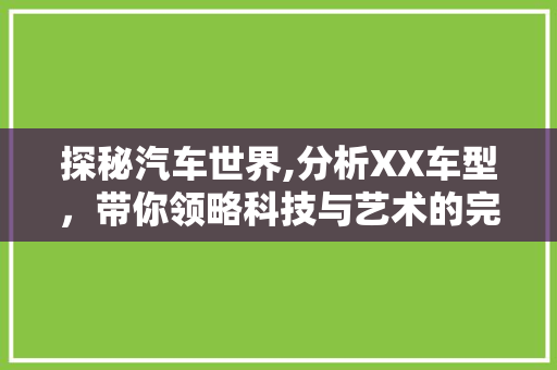探秘汽车世界,分析XX车型，带你领略科技与艺术的完美融合