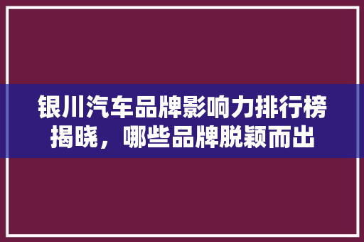 银川汽车品牌影响力排行榜揭晓，哪些品牌脱颖而出