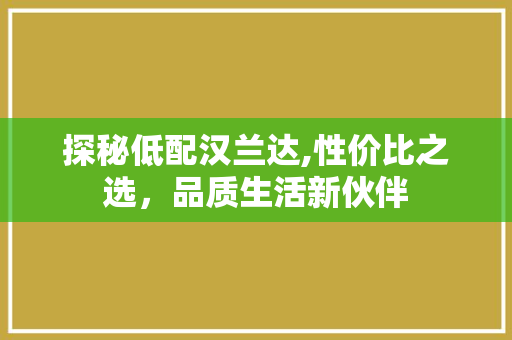 探秘低配汉兰达,性价比之选，品质生活新伙伴