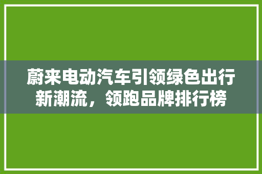 蔚来电动汽车引领绿色出行新潮流，领跑品牌排行榜