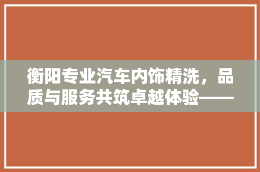 衡阳专业汽车内饰精洗，品质与服务共筑卓越体验——排行榜背后的奥秘