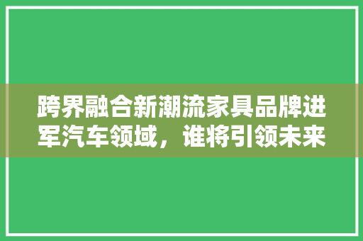 跨界融合新潮流家具品牌进军汽车领域，谁将引领未来