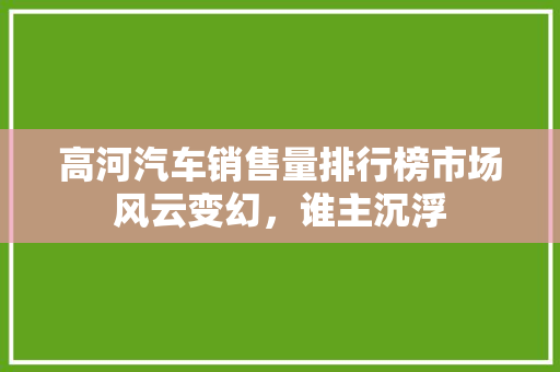 高河汽车销售量排行榜市场风云变幻，谁主沉浮
