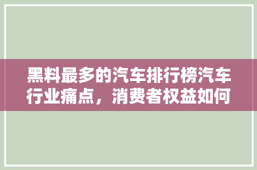 黑料最多的汽车排行榜汽车行业痛点，消费者权益如何保障